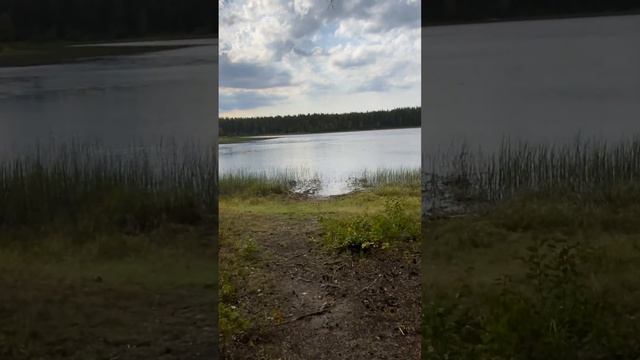 Турстоянка 6А. Почозеро. Кенозерский национальный парк. смотреть онлайн
