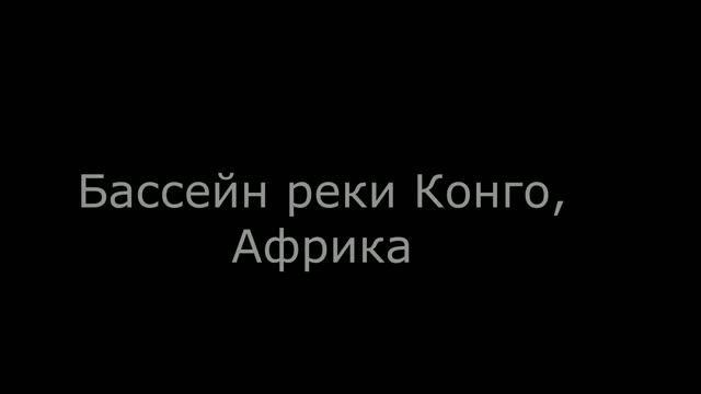 10 мест которые нужно посетить перед тем как они исчезнут с лица Земли смотреть онлайн