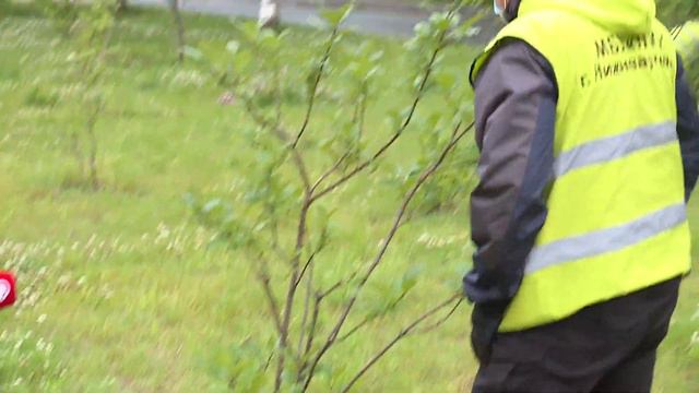«Сделать Нижневартовск цветущим». Такую задачу год от года ставят перед собой местные экологи смотреть онлайн