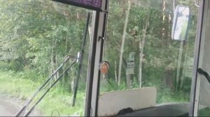 Автобус про.