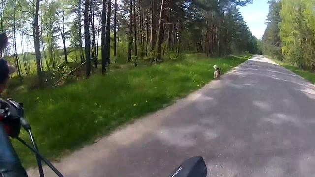 Завидово Кузьминка, вело, 140 км смотреть онлайн