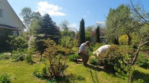 Две идеальные опоры для пионов своими руками