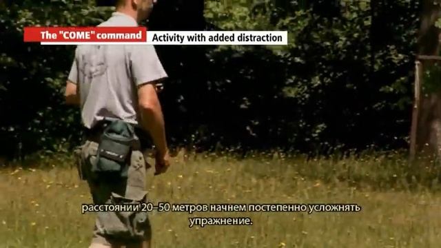 Начинаем использовать электронный ошейник. Краткое руководство. смотреть онлайн