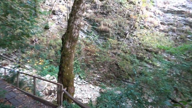 Лазаревское, крабовое ущелье смотреть онлайн