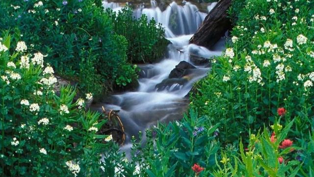 Саманта - Капли утренней росы смотреть онлайн