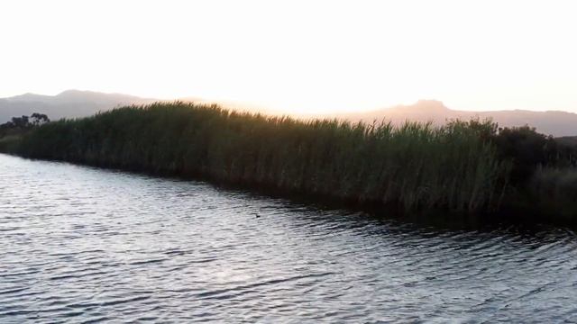 ВЕЧЕРНЯЯ МОЛИТВА ПЕРЕД СНОМ | 16.03.2023 смотреть онлайн