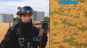 Анкерные линии для Ж/Д эстакады. Работа на анкерной (страховочной) линии на эстакаде.