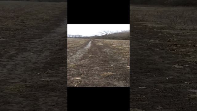 САМСУНГ А03 тест видео смотреть онлайн