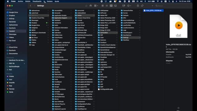 Cómo añadir los Presets de Camera RAW смотреть онлайн
