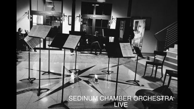 Tchaikovsky / Serenade for Strings, I. Pezzo in forma di Sonatina / Sedinum Chamber Orchestra смотреть онлайн