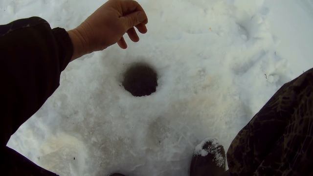 Досадный обрыв! Капризный лещ февраля смотреть онлайн