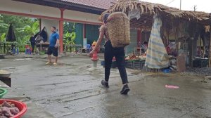 Harvest forest fruits, tomato garden goes to the market sell - Animal care | Ly Thi Tam