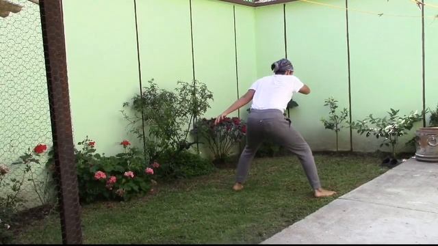 ??APRENDE CAPOEIRA DESDE TU CASA EP. 4 ?(Esquiva de Frente)?? смотреть онлайн