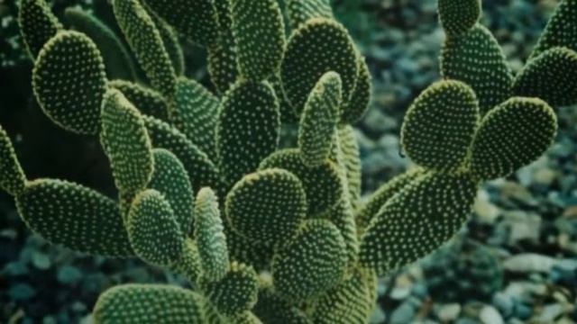 Cолнцезащитные средства Донецк смотреть онлайн