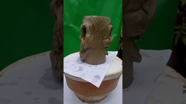 concrete concrete skull Halloween design Diy смотреть онлайн