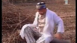 Аловуддин Абдуллоев - Агроном | Alovuddin Abdulloev - Agronom