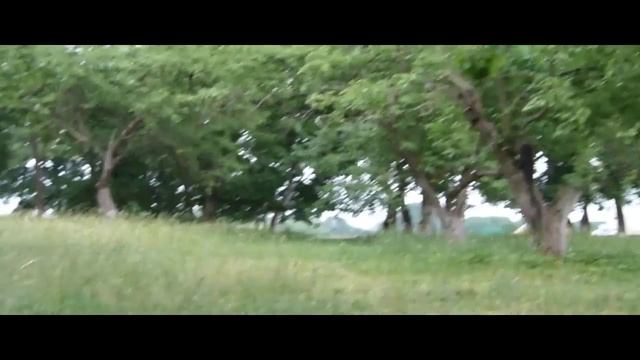 Квест на день рождение Олеси смотреть онлайн