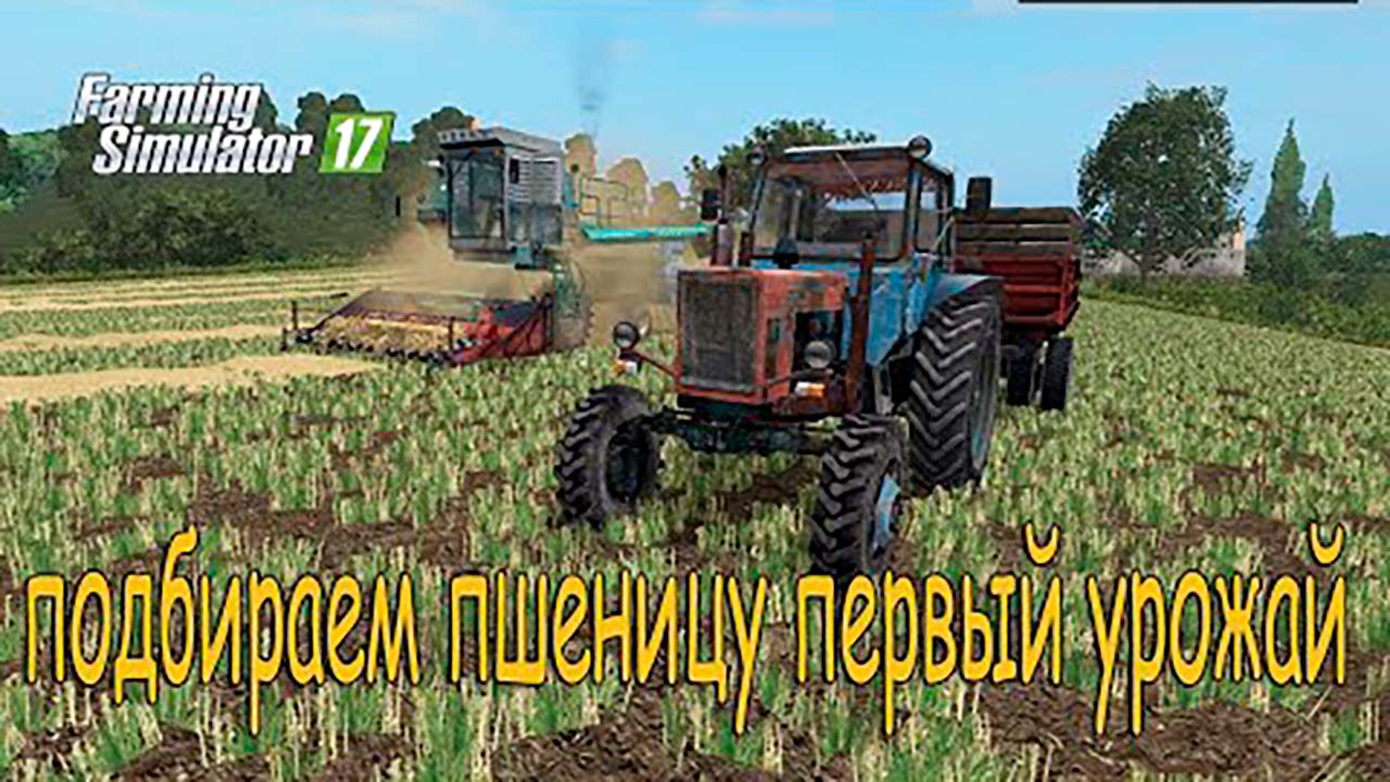 Подбираем пшеницу на комбайне Енисей 1200 _Фс 17_ вожу на белорусе мтз 80 зерно домой.mp4 смотреть онлайн