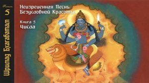 5-6. Блаженный Ришабха покидает бренный мир. Шримад Бхагаватам