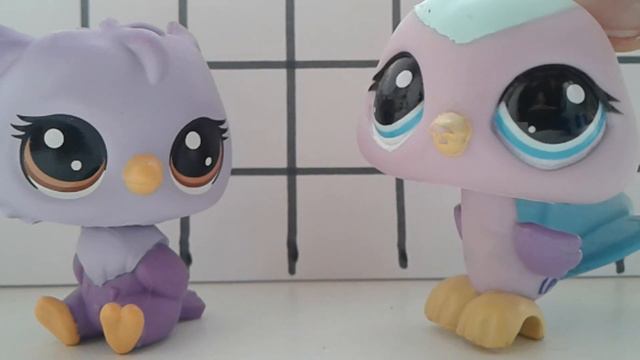 моя коллекция фиолетовых петов смотреть онлайн