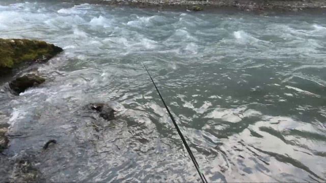 ОСЕННИЙ ЖОР ФОРЕЛИ | В ГОРАХ ИНГУШЕТИИ смотреть онлайн