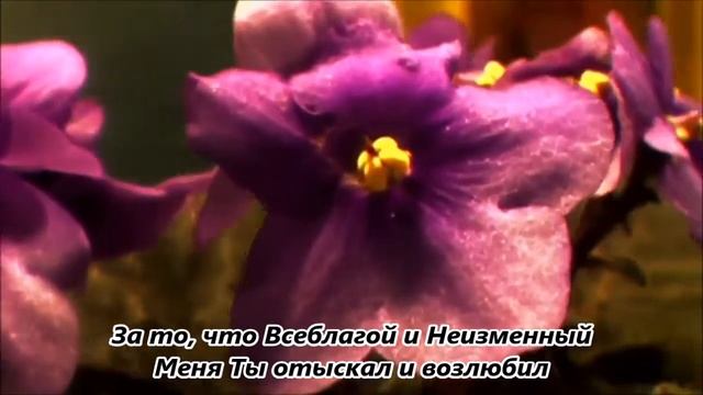 Благодарю, Господь смотреть онлайн