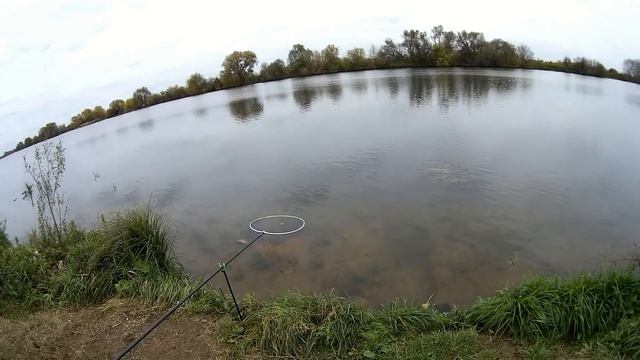 Рыбалка на фидер в октябре, нижняя Москва-река. смотреть онлайн