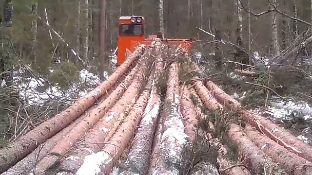 Трелёвка леса смотреть онлайн