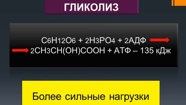 К чему приводит голодание? Презентация power point смотреть онлайн