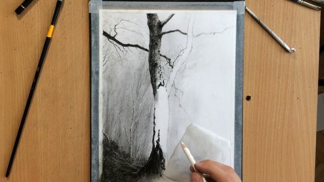 Twisted Branches Charcoal Drawing смотреть онлайн