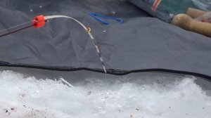 Рыбалка на Подуста Зимой 2021... Как Перехитрить Этого Речного Красавца...(подводные кадры)