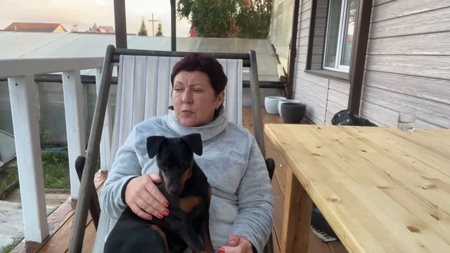 Надо что-то менять. Как выстроить общение. Новая терасса. смотреть онлайн