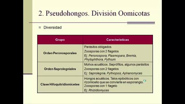 Lec03.2 Hongos mucilaginosos, pseudohongos y hongos verdaderos I (umh1088 2014-2015) смотреть онлайн