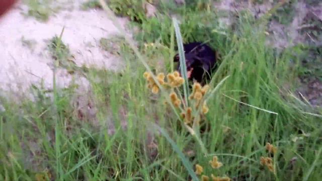 23 августа 2021 г. смотреть онлайн