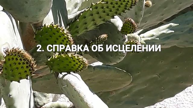 Новости Италии. Ответы на вопросы по GREEN PASS в комментариях. смотреть онлайн