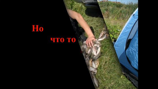 Мама ама криминал.... смотреть онлайн