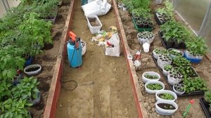 Устройство грядок и дорожек в теплице 6х3.