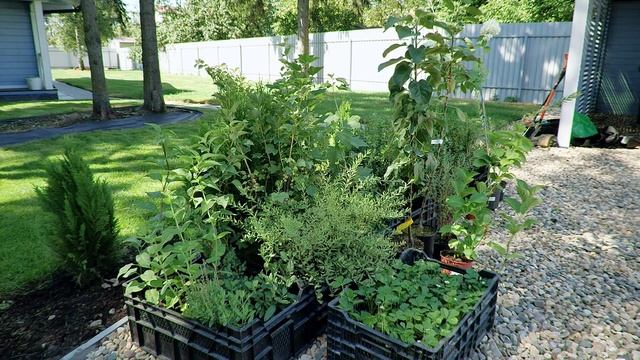 Дачная академия