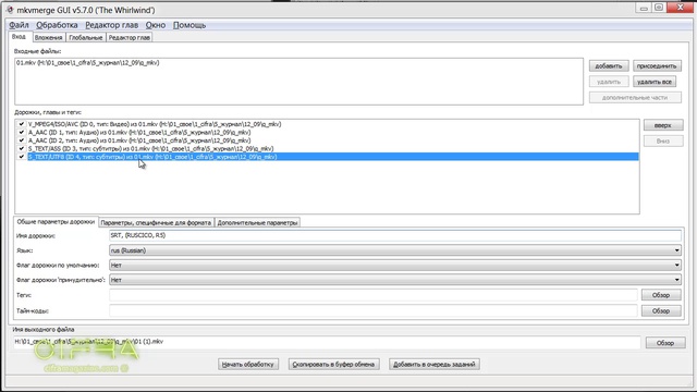 Обзор MKVMerge GUI. Заполняем поля