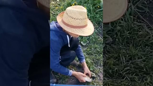 Поймал крупного окуня-горбача на поплавок. Ловля окуня на червя | Рыбалка 2021 ? #shorts смотреть онлайн