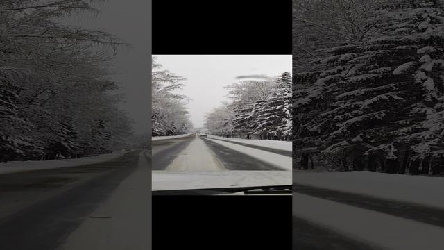 на ниве по зимней дороге