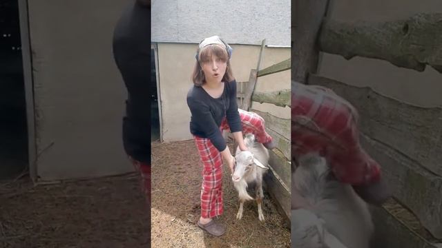 В связи с проблемами добычи топлива, будет использовать козлов 😁 смотреть онлайн