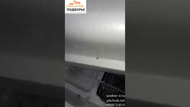 Обзор на Инкубатор Несушка на 77 куриных яиц смотреть онлайн