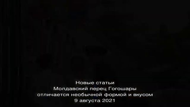 Загадочное масло из желтых одуванчиков смотреть онлайн