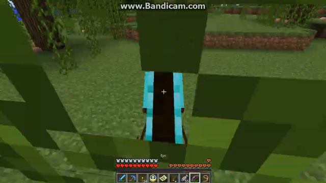 Minecraft №2 катаемся на лошади смотреть онлайн