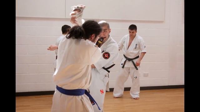 SENSEI ARMAN PETROSYAN ARMENIA.SO KYOKUSHIN INTERNATIONAL SEMINAR UNITED KINGDOM GLASGOW-2014. смотреть онлайн