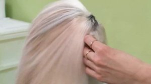 Ши-тцу - все о породе собаки и интересные факты