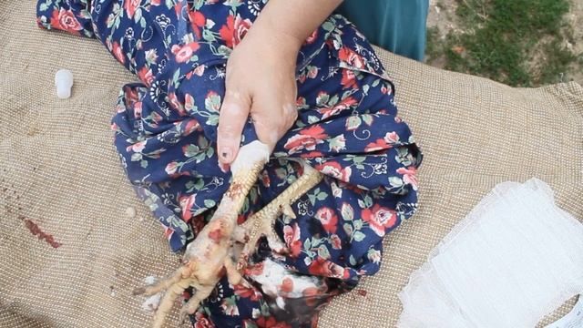 ЗАГНОИЛАСЬ ЛАПА У ПЕТУХА, МНОГО ГНОЯ. ЛЕЧЕНИЕ. смотреть онлайн