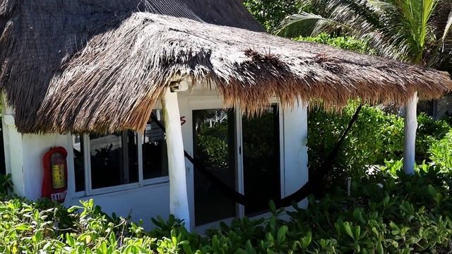 TULUM, MEXICO GUIDE смотреть онлайн