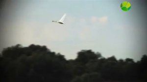 Хабургаев в натуре 09 Выжить в дельте 2015 SATRip Files х